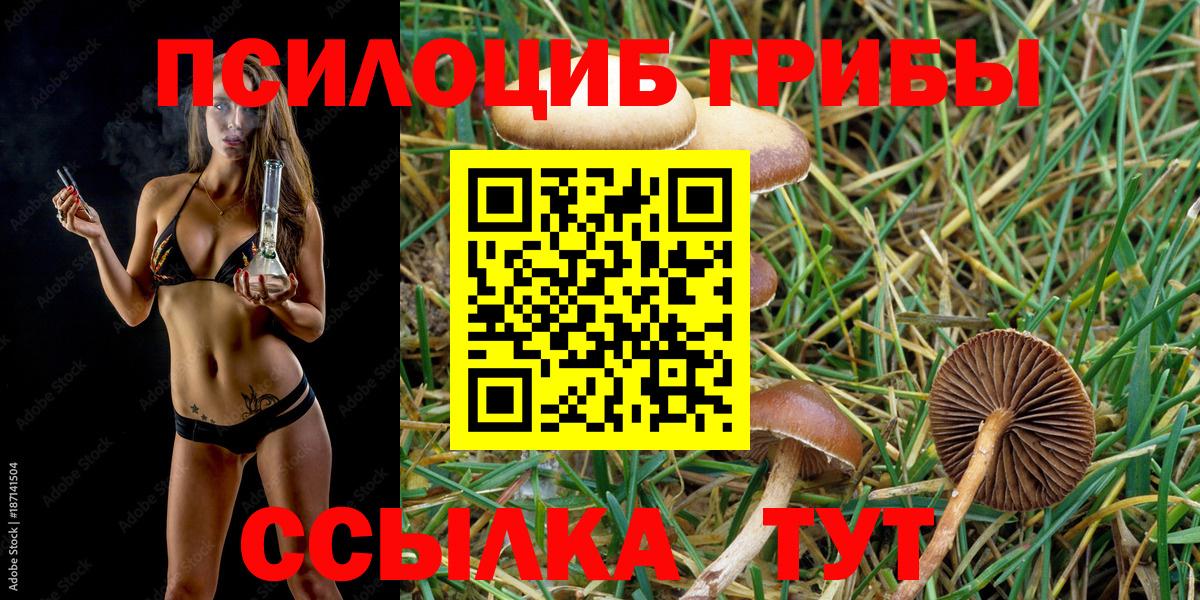 Ялуторовск  Галлюциногенные грибы Psilocybe  купить наркоту  Псилоцибиновые грибы Psilocybine cubensis  Вход с VPN 